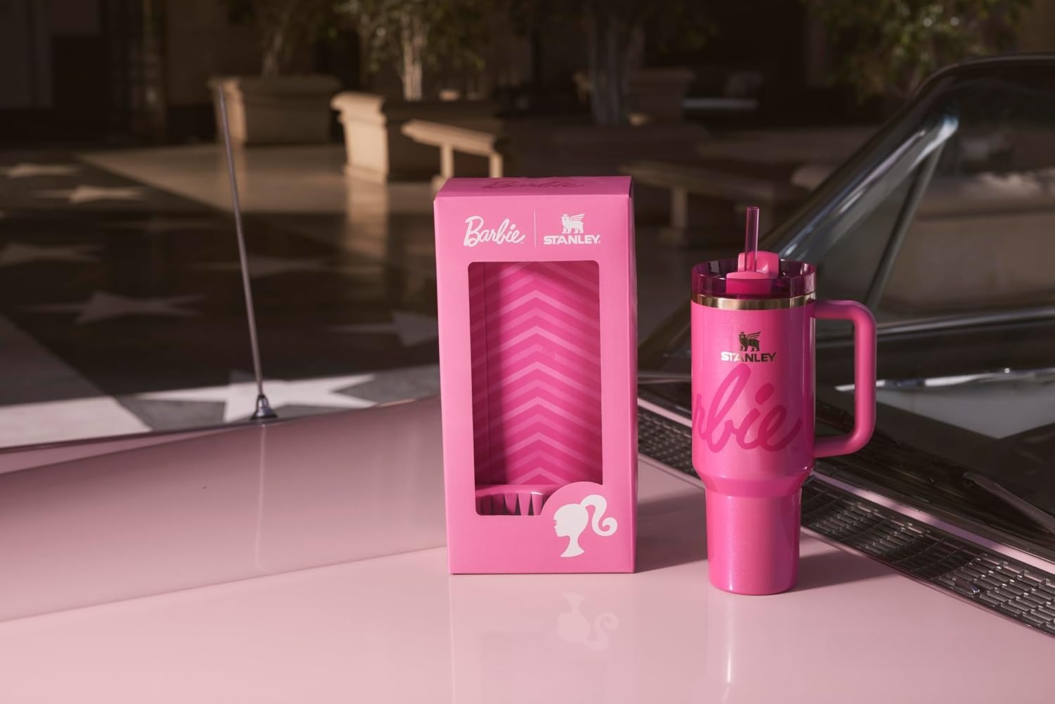 Cups